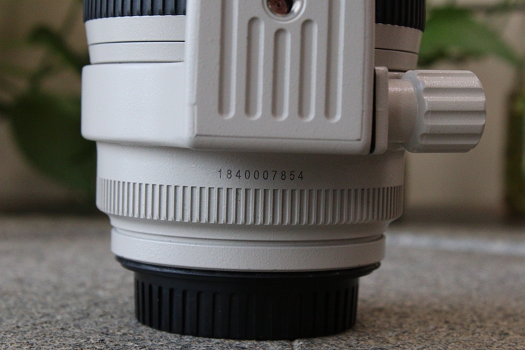 8 l is ii usm小白兔 回收007854武】- 蜂鸟二手交易平台