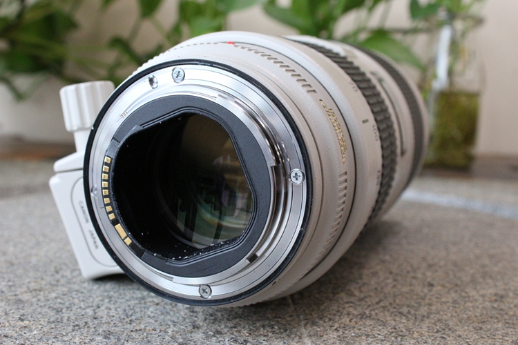 8 l is ii usm小白兔 回收007854武】- 蜂鸟二手交易平台