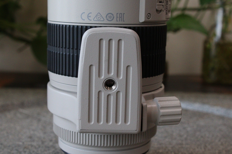 8 l is ii usm小白兔 回收007854武】- 蜂鸟二手交易平台