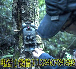ltl6210MG彩信打猎相机