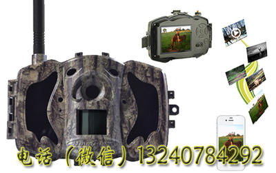 海南省野生动物红外相机