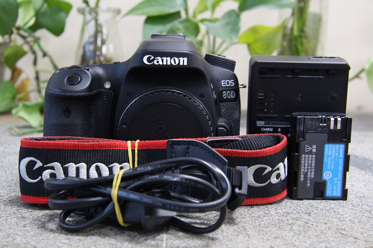 95新二手 Canon佳能 80D 单机 专业单反相机 004650
