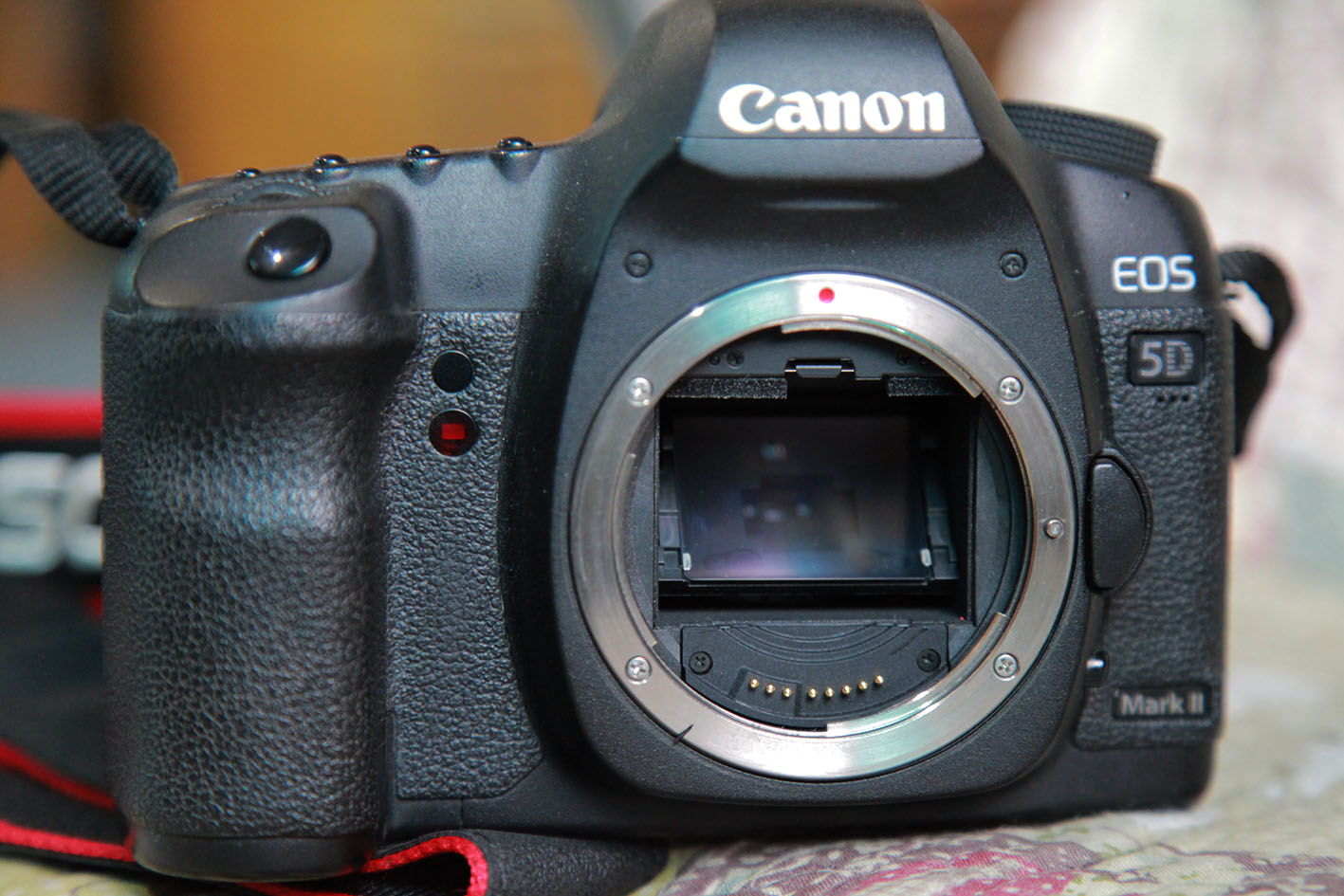Canon/佳能EOS 5D Mark II 专业单反相机5D2 无敌兔机身 全画幅
