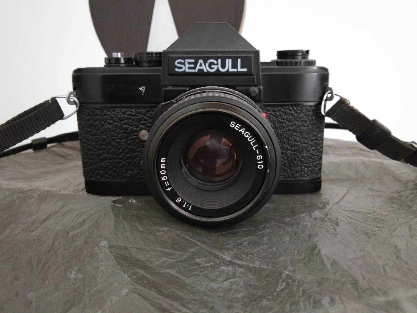 海鸥胶片相机