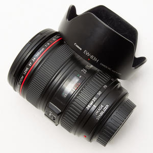 Canon佳能EF 24-105mm f/4L IS USM 标准变焦自动镜头 97新 #5889