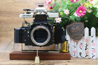 海鸥DF-300GD单反胶卷胶片相机装饰复古摆件挂件 无号