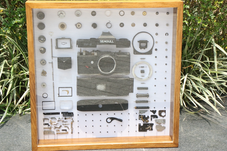 海鸥df-2老相机胶片胶卷相机装饰拆解复古实木边框 挂件 无号