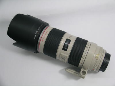 佳能 EF 70-200mm f/2.8L USM(小白)或置换索尼或者尼康镜头