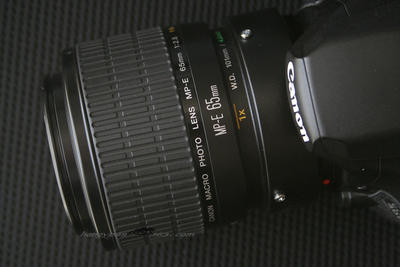 佳能 MP-E 65mm f/2.8 1-5X微距