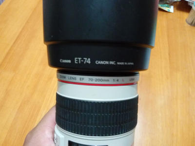 佳能 EF 70-200mm f/4L USM(小小白)