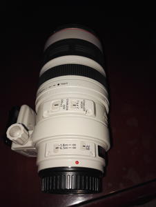 佳能 EF 100-400mm f/4.5-5.6L IS USM(大白)