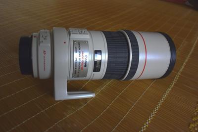佳能 EF 300mm f/4L IS USM(佳能专业L级镜头)