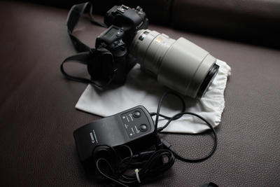 佳能 EOS 1D Mark II及大白镜头一只（白色遮光罩）